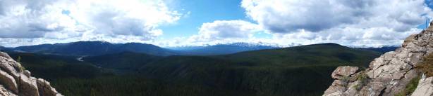 Panorama view from treeline