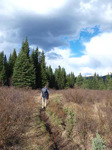 Finally back to the trail.