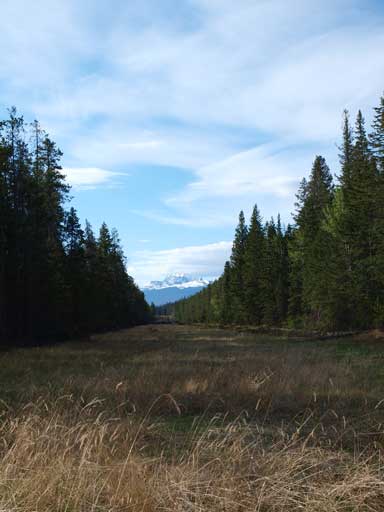 The old road leads to this pipeline. We crossed it and started the bushwhacking