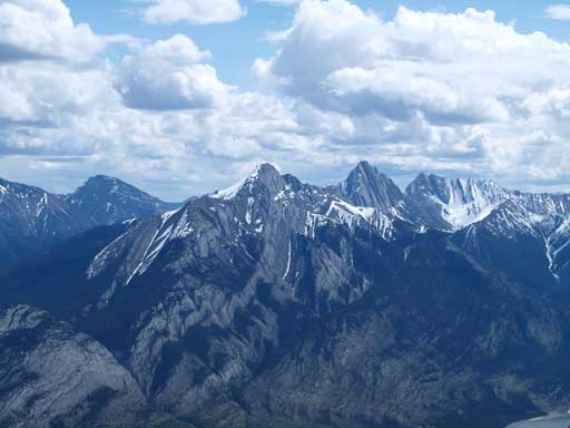 Hawk and Colin look impressive 