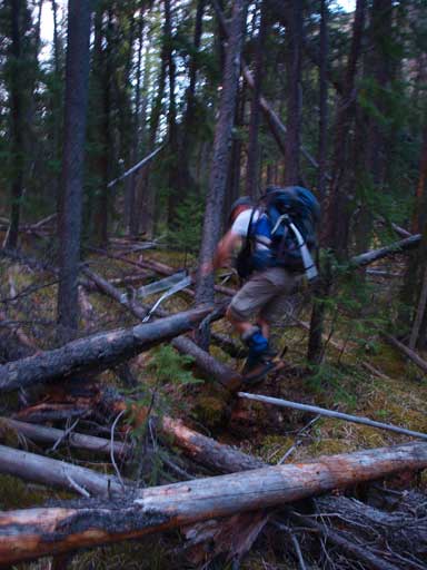 Ben negotiating the dead-fall zone on the way back.