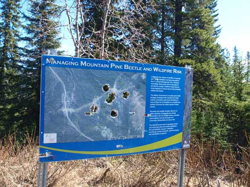 Someone had shout the trail-head sign...