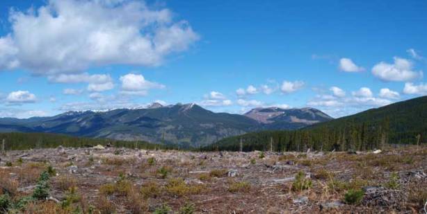 Already great views not far into the trip.