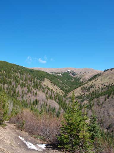 Hamell looks quite innocent