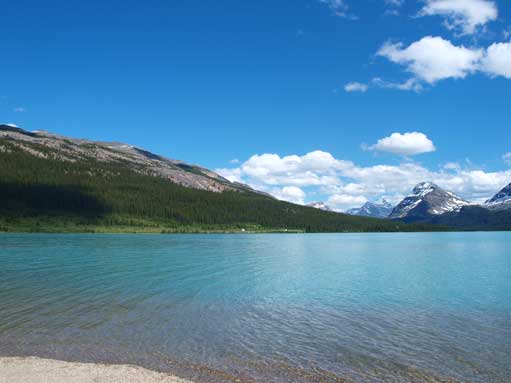 Back to Bow Lake
