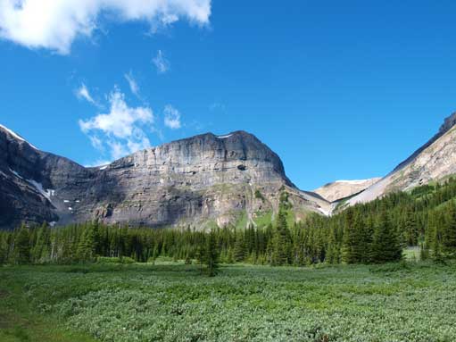 At the open meadows area, not far from Bourgeau Lake