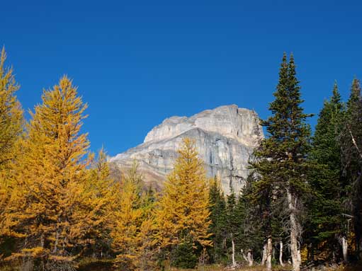 Eiffel Peak, a moderate scramble