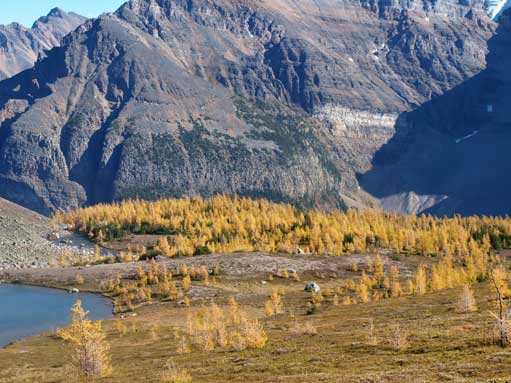 Beautiful fall colours!