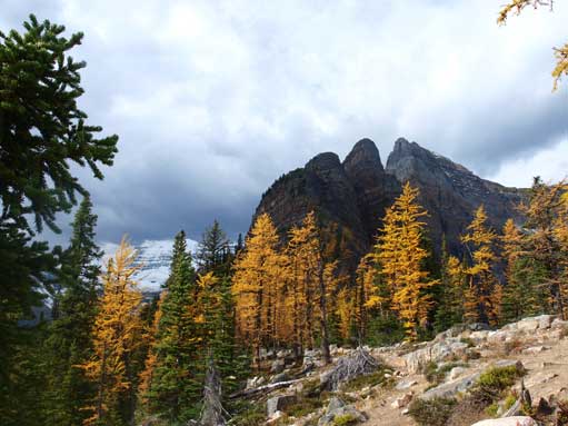 Devel's Thumb from Big Beehive