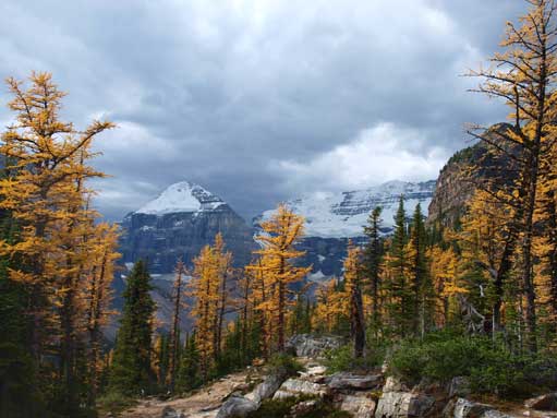 Beautiful fall colours. Lefroy and Victoria behind