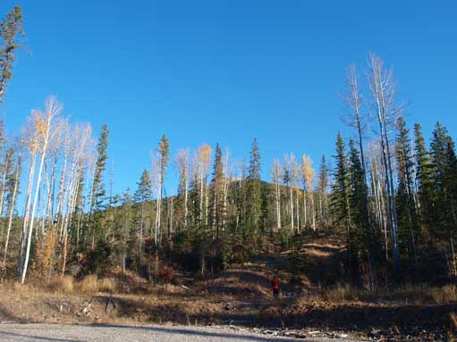 There was still some fall colours at trail-head
