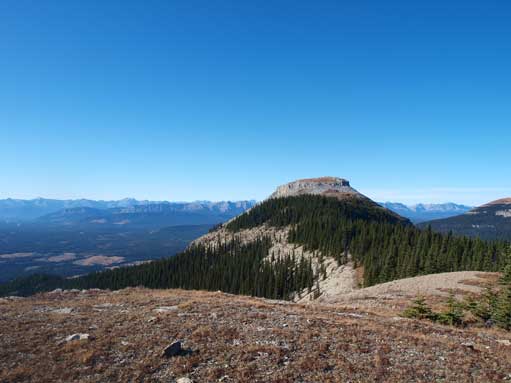 Coliseum Mountain true summit