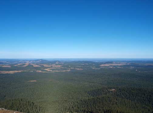 Not much to describe towards the other direction, except for the logging activities.