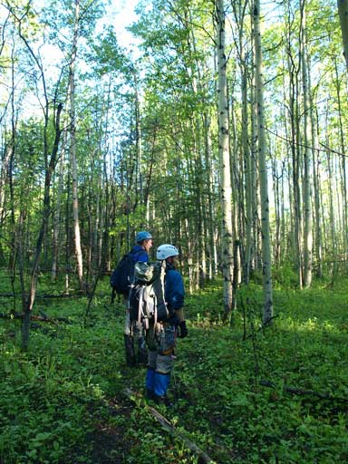 Typical bush initially. It was very pleasant here.