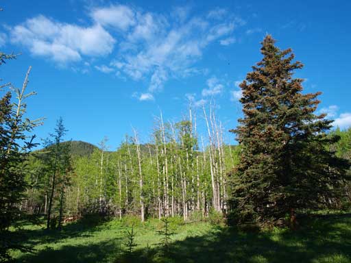 A bluebird day was waiting for us.