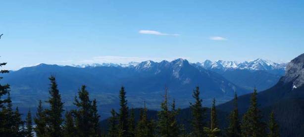 Zooming-in towards Fiddle Range