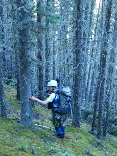 The initial part was steep, but not too bushwhacky