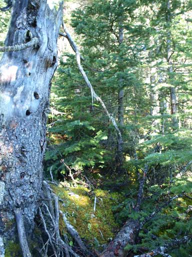 But this was the real part...