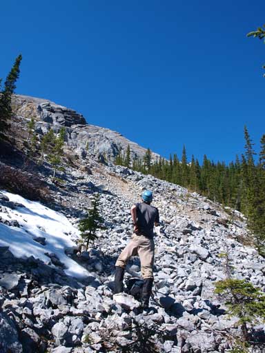 What a relieve to get out of the bush.