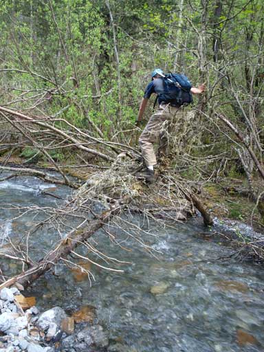 Ken crossing the creek on a natural log bridge