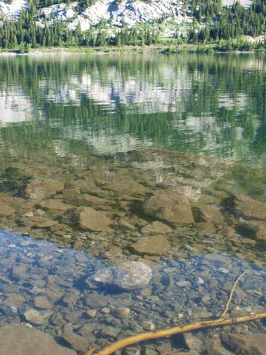 Clear water in Crowsnest Lake