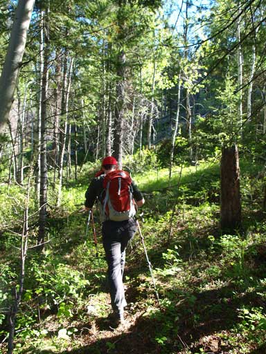 Mike hiking through the forest