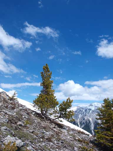 What a gorgeous day out. It was forecasted to be rainy with amount 5-15mm