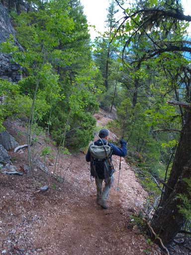 Typical terrain on this hike