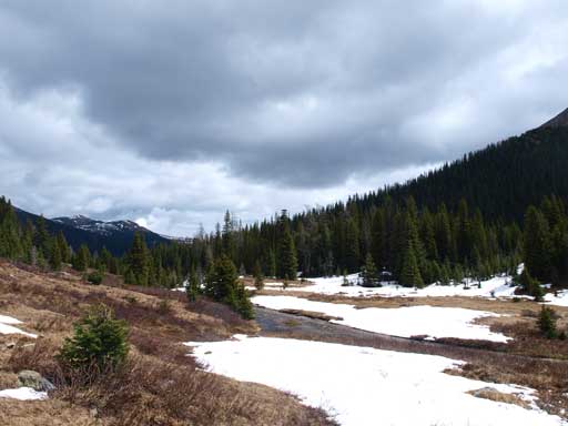 Now here comes the opening/meadow area
