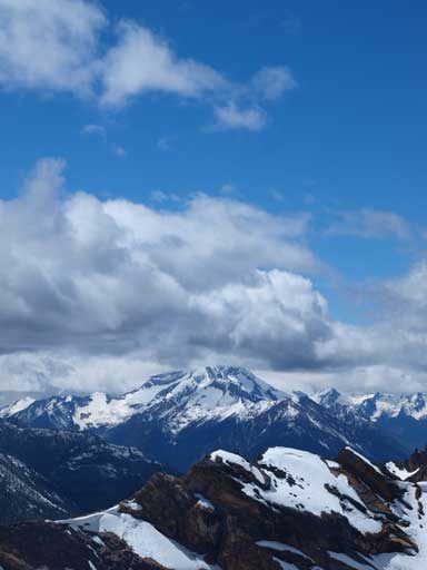 Redtop and Earl Grey