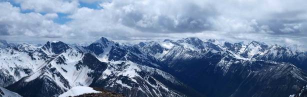 Looking southwest. One of them must be Coppercrown