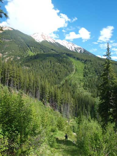 Hiking down the steep trail/road. 