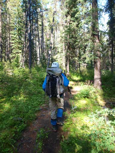 Back to Saturday Night Lake Trail