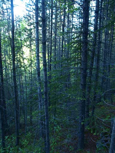 Depends on how lucky you are, you might have to deal with this...