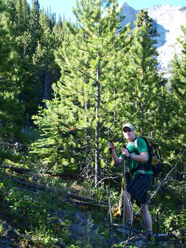 Neil hiking up the forested slope