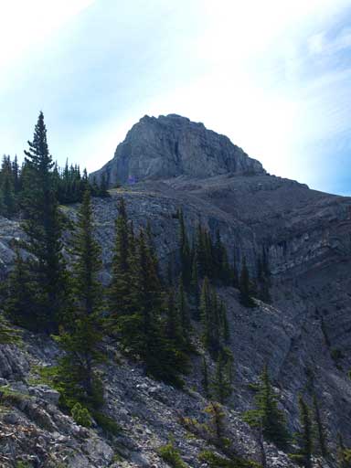 You need to go all the way up to the base