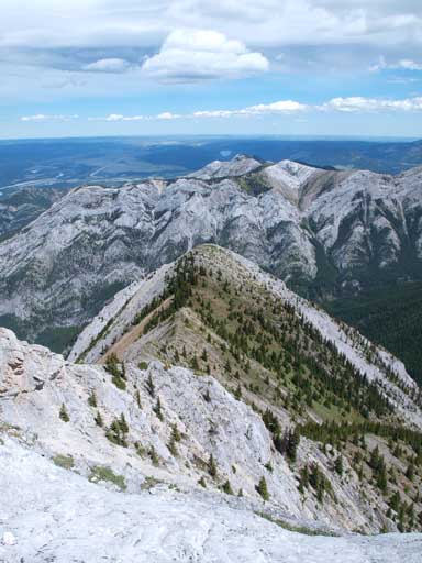 I really like the colours in this photo