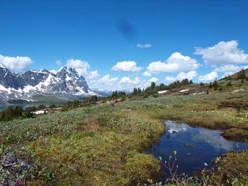 No mosquitoes?! Wow!