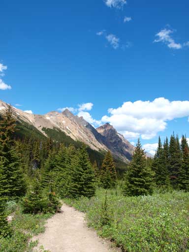 Typical condition on Peveril Creek Trail. It certainly gets regular maintenance!