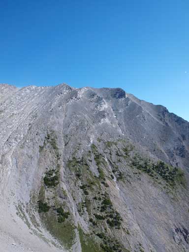 Tecumseh looks sloggy, but easy