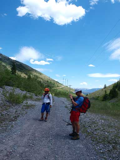Back to Phillipps Pass Road