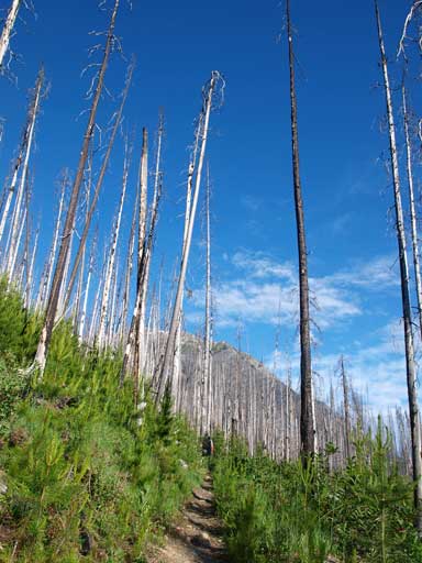 Travelling can't get better than this.