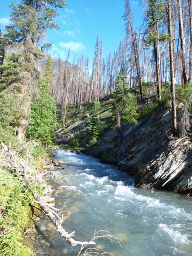 There'll be another bridge crossing this stream