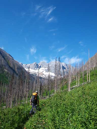 Travelling in the valley