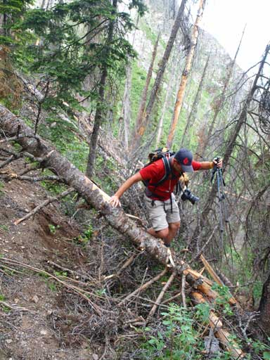 But there were some deadfalls