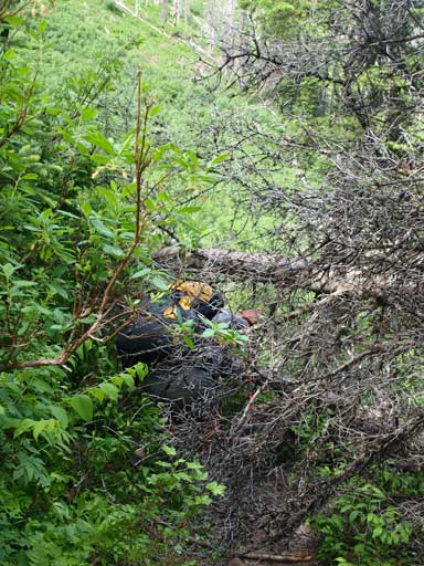 It got bushy at one section. Can you spot Dave whacking through the bush?