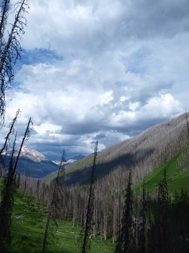Looks stormy towards the Divide. In deed, it was miserable in the Alberta side, and we found it out on our drive back.