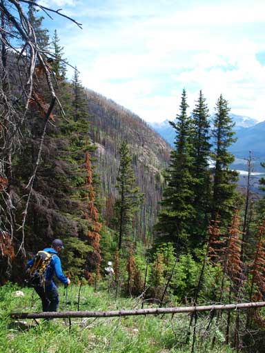 We managed to follow the trail pretty much all the way out