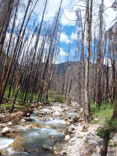 Back to the creek again.