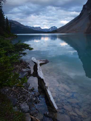 Interesting stick on the lakeshore